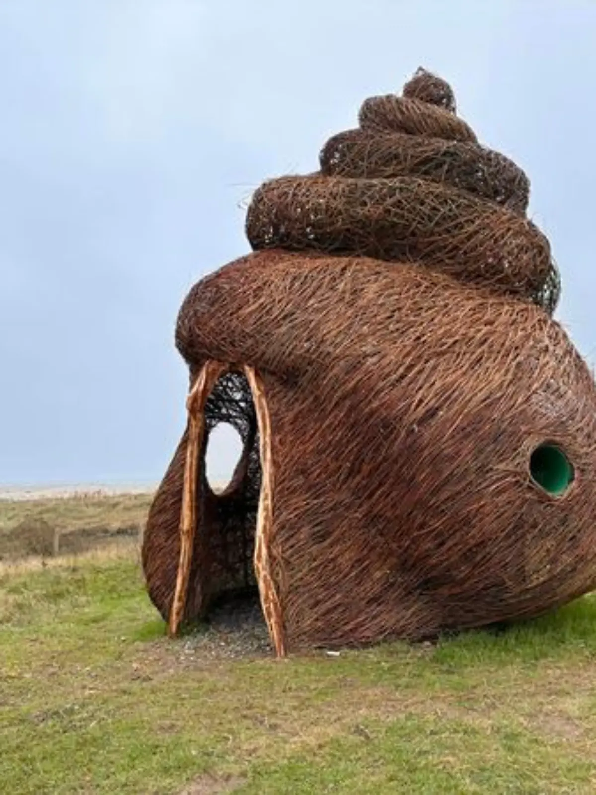Periwinkle Shelter 