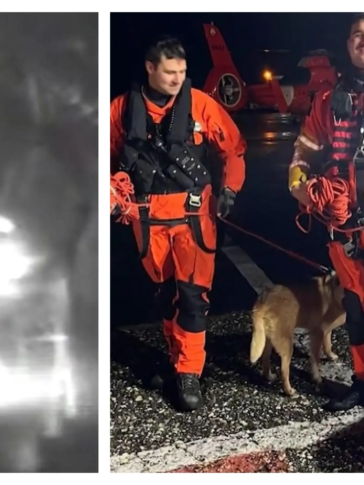 Boot droht zu zerbrechen! Segler und Hunde auf Meer gefangen