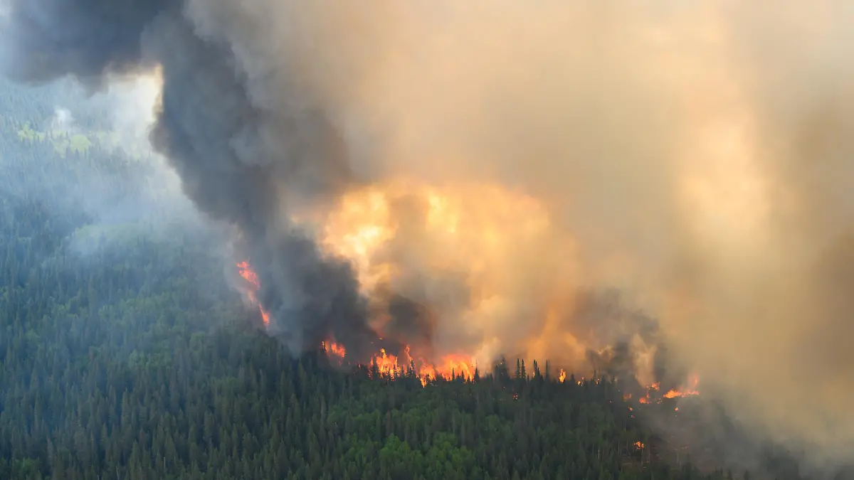 Flames reach upwards along the edge of a wildfire as seen from a Canadian Forces helicopter surveying the area near Mistissini, Quebec, Canada June 12, 2023.   Cpl Marc-Andre Leclerc/Canadian Forces/Handout via REUTERS THIS IMAGE HAS BEEN SUPPLIED BY A THIRD PARTY