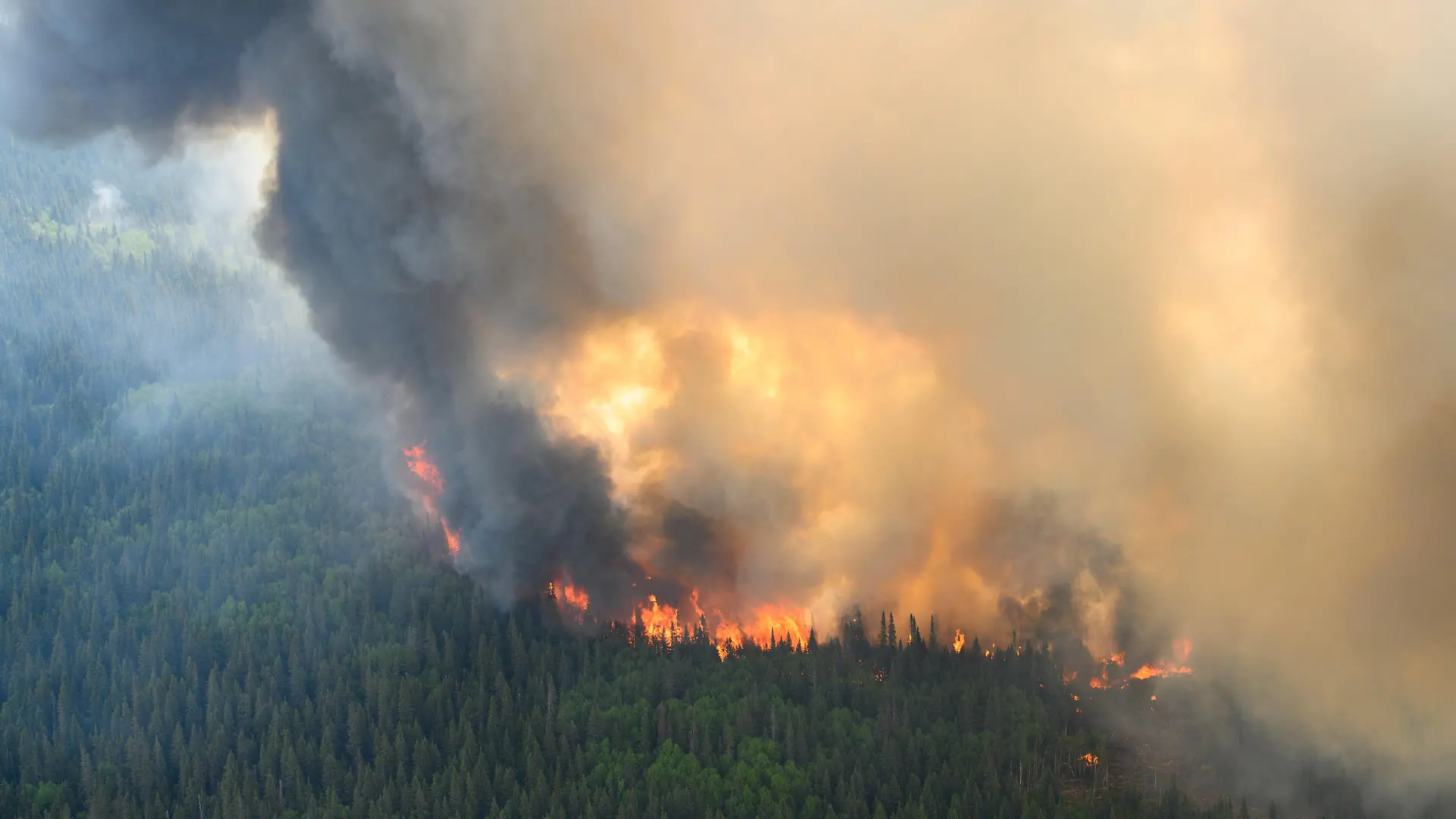 Flames reach upwards along the edge of a wildfire as seen from a Canadian Forces helicopter surveying the area near Mistissini, Quebec, Canada June 12, 2023.   Cpl Marc-Andre Leclerc/Canadian Forces/Handout via REUTERS THIS IMAGE HAS BEEN SUPPLIED BY A THIRD PARTY