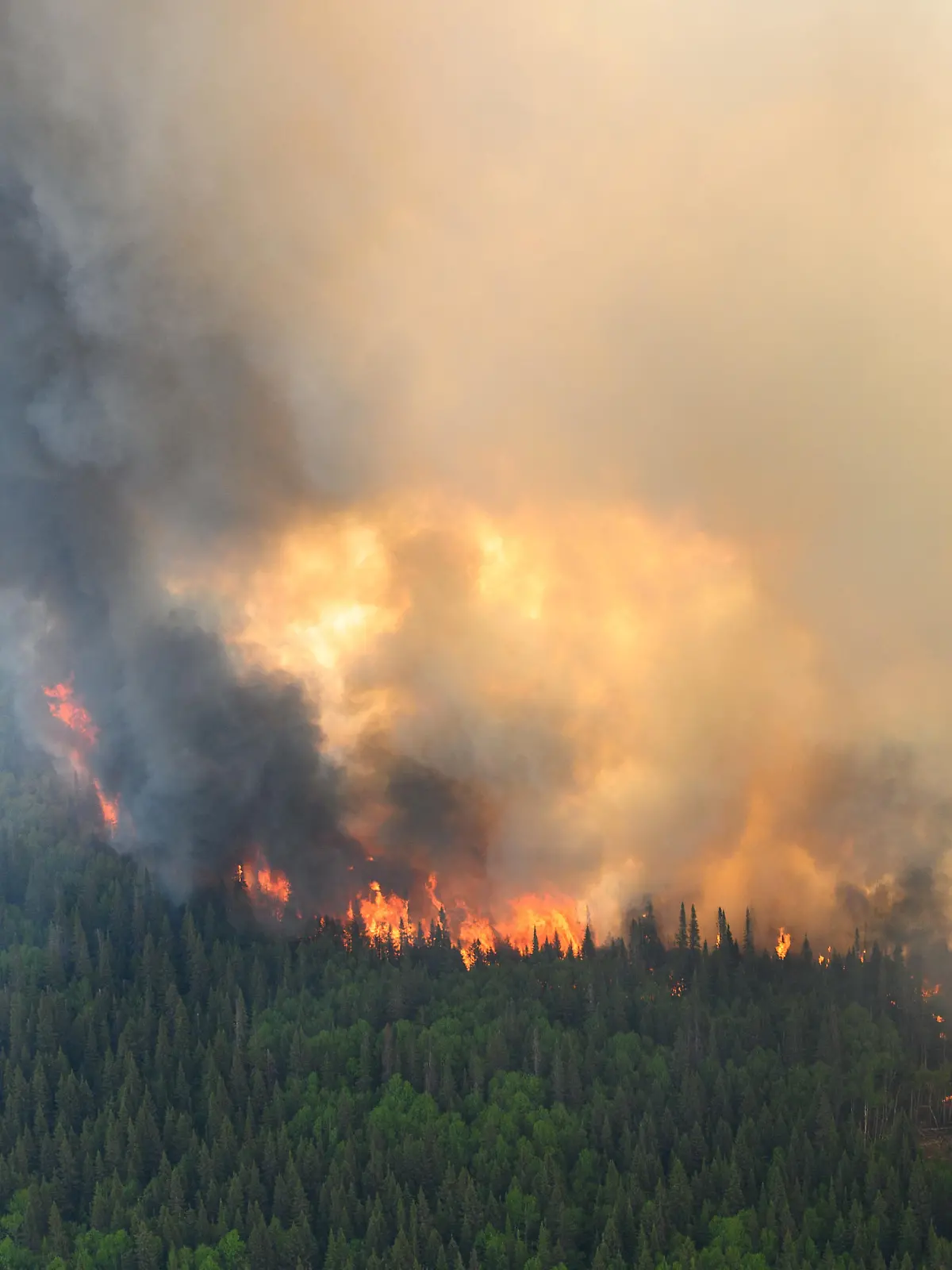 Flames reach upwards along the edge of a wildfire as seen from a Canadian Forces helicopter surveying the area near Mistissini, Quebec, Canada June 12, 2023.   Cpl Marc-Andre Leclerc/Canadian Forces/Handout via REUTERS THIS IMAGE HAS BEEN SUPPLIED BY A THIRD PARTY