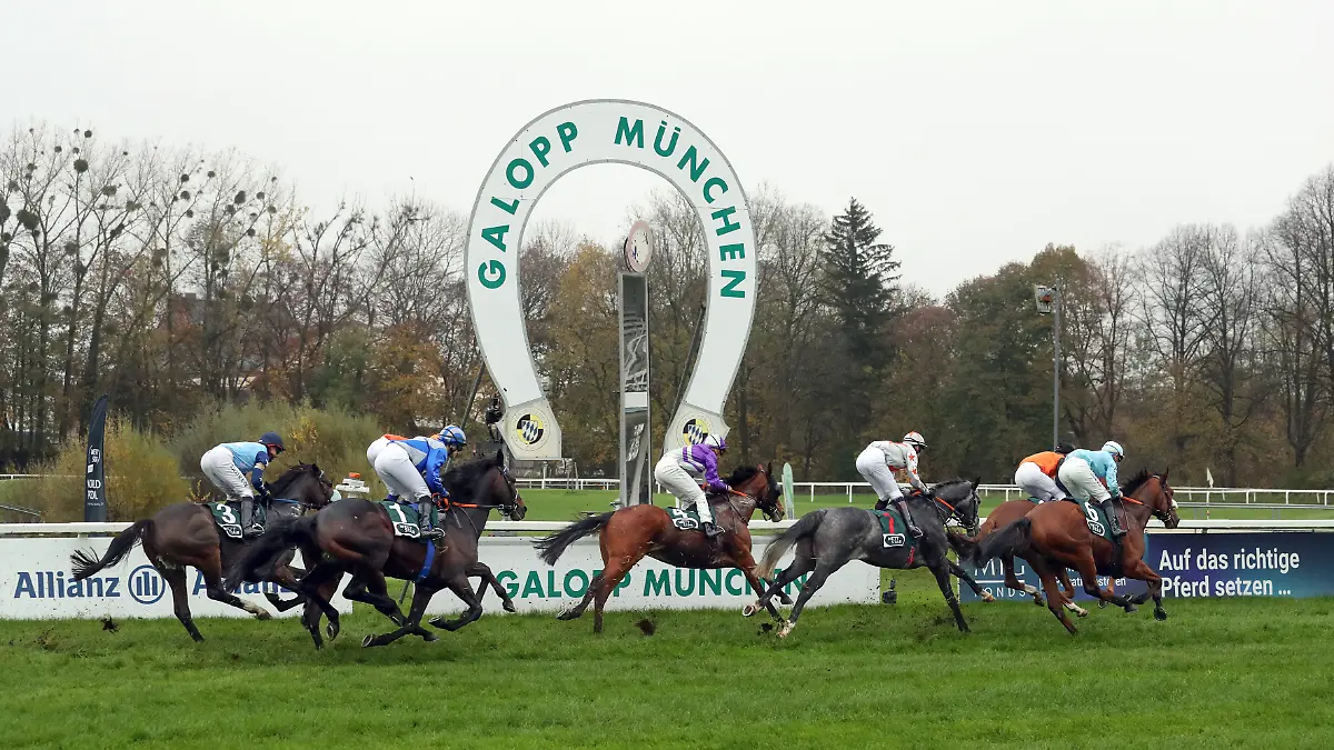 Auf der Galopprennbahn München-Riem kam es Anfang November zu einem tragischen Zwischenfall.