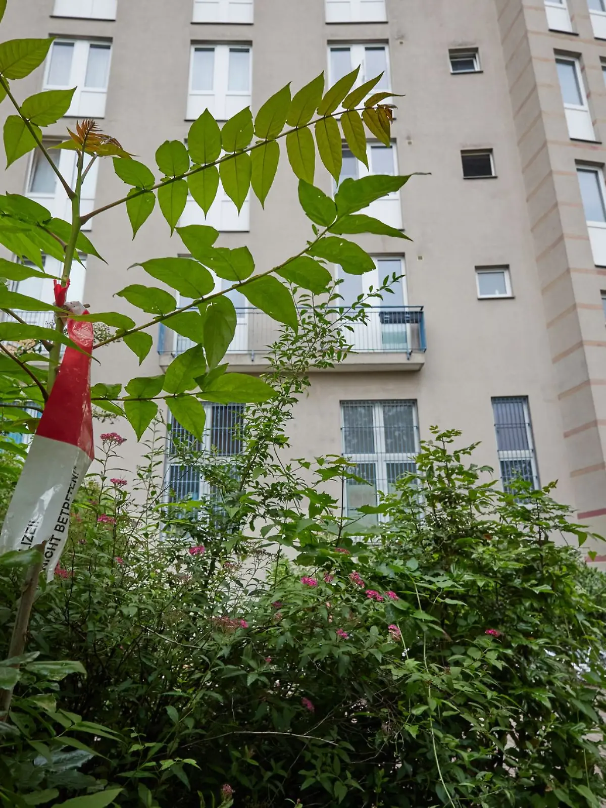 Bild zu: "Vierfache Mutter wirft Kleinkind aus Fenster – und kommt in Psychiatrie"