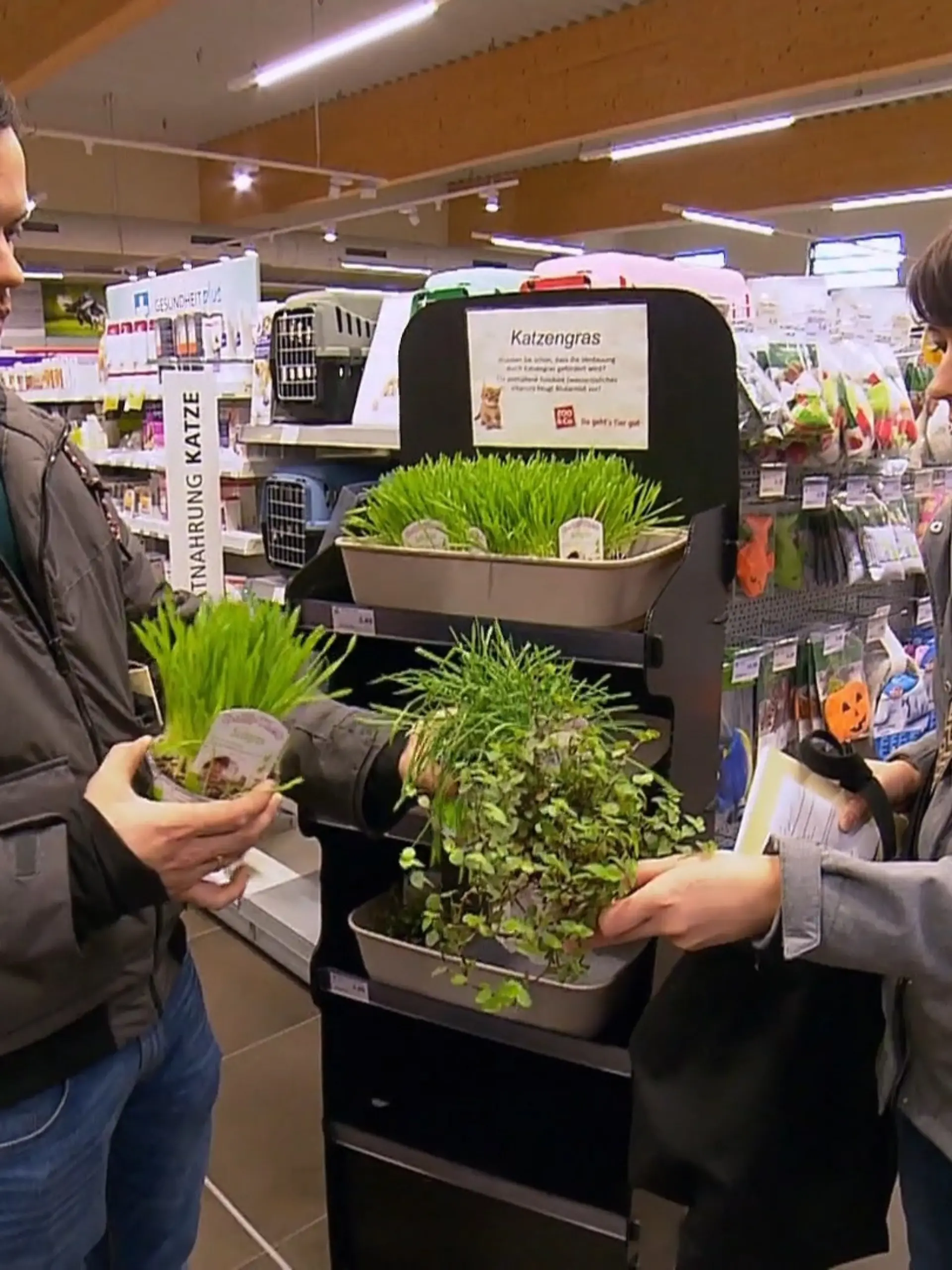 Bild zu: "Nicole plant ein wildes Abenteuer-Zimmer"