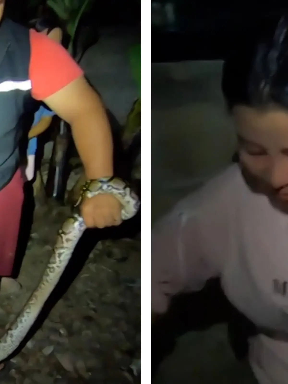 Python beißt Hausfrau in Kopf – und verfehlt ihr Auge nur um Zentimeter