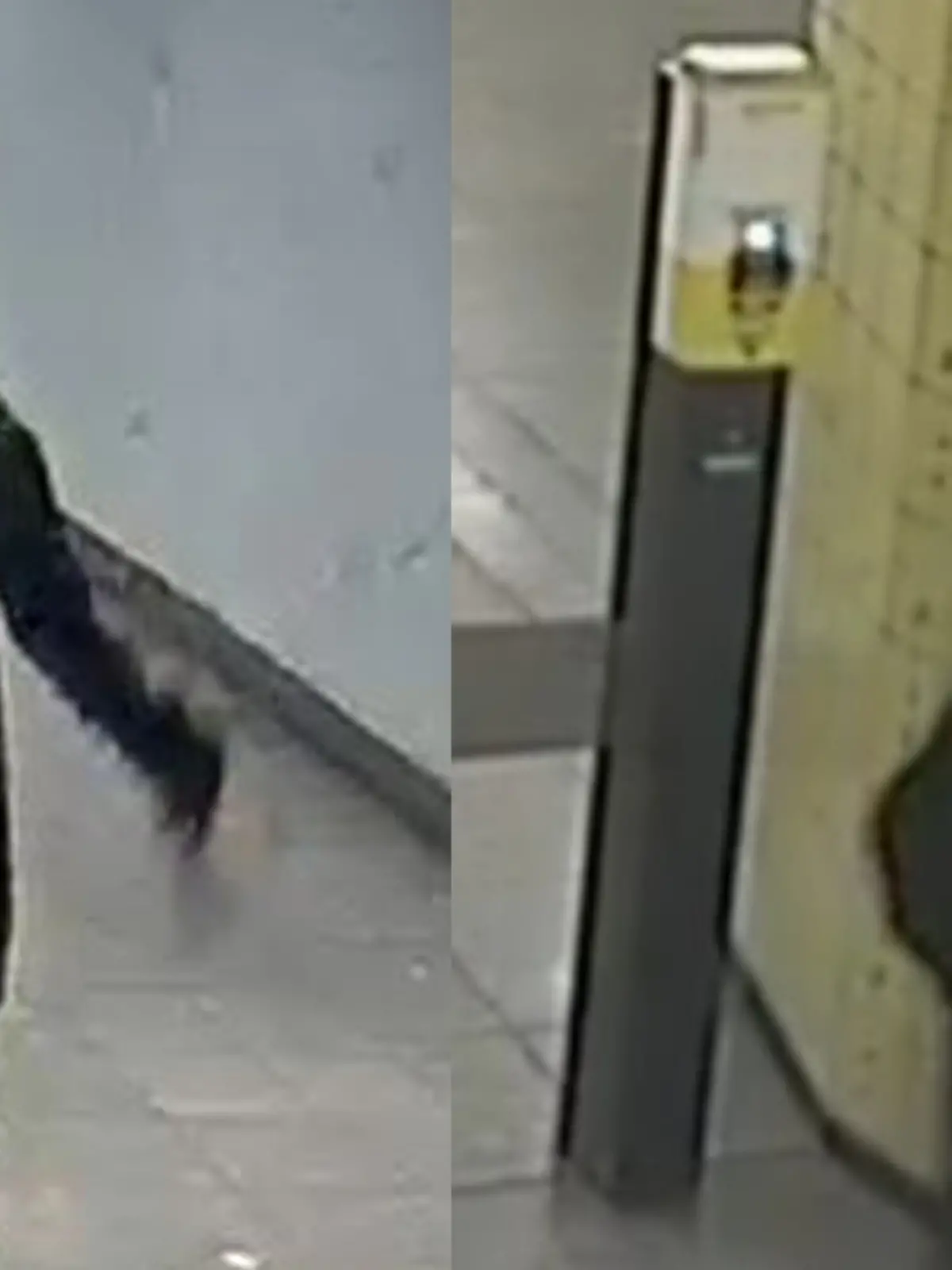 Mit diesen Bildern hat die Polizei nach dem Kind gesucht.