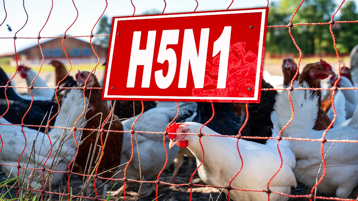 Vogelfarm mit H5N1-Virus-Schild