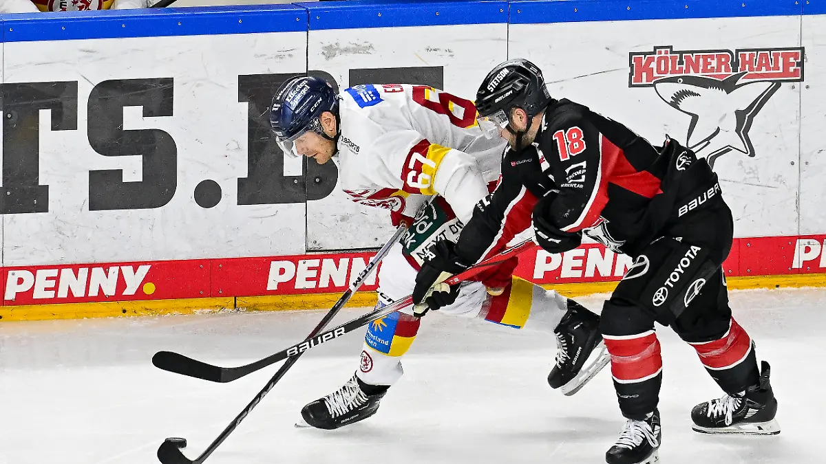 Kölns Josh Currie (Nr.18) im Duell mit Düsseldorfs Bernhard Ebner (Nr.67).