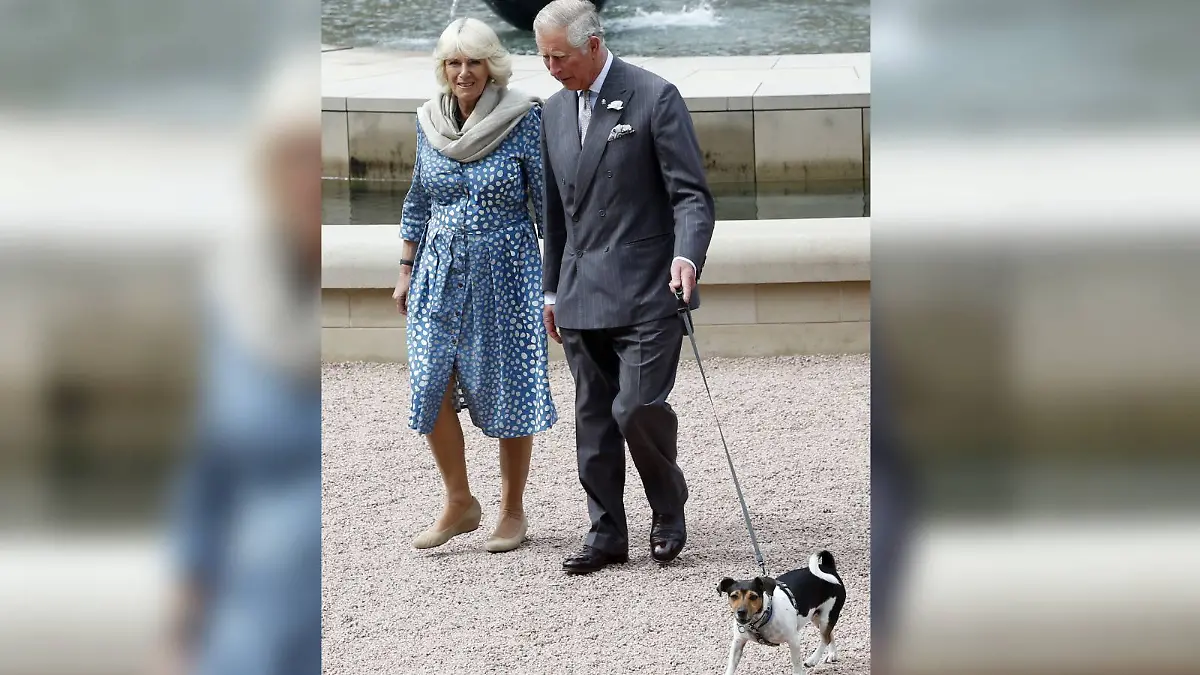 Königin Camilla und König Charles beim Gassigehen. 