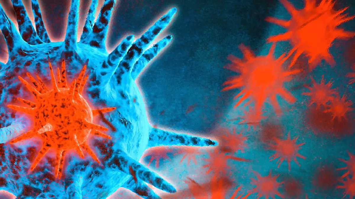 Was das Nipah-Virus so tödlich macht