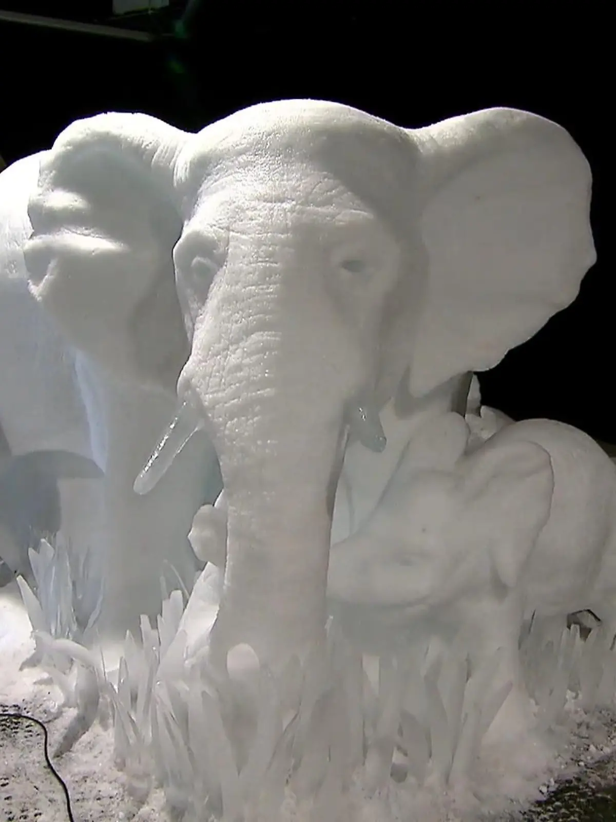 Bild zu: "Eiskalte Kunst"