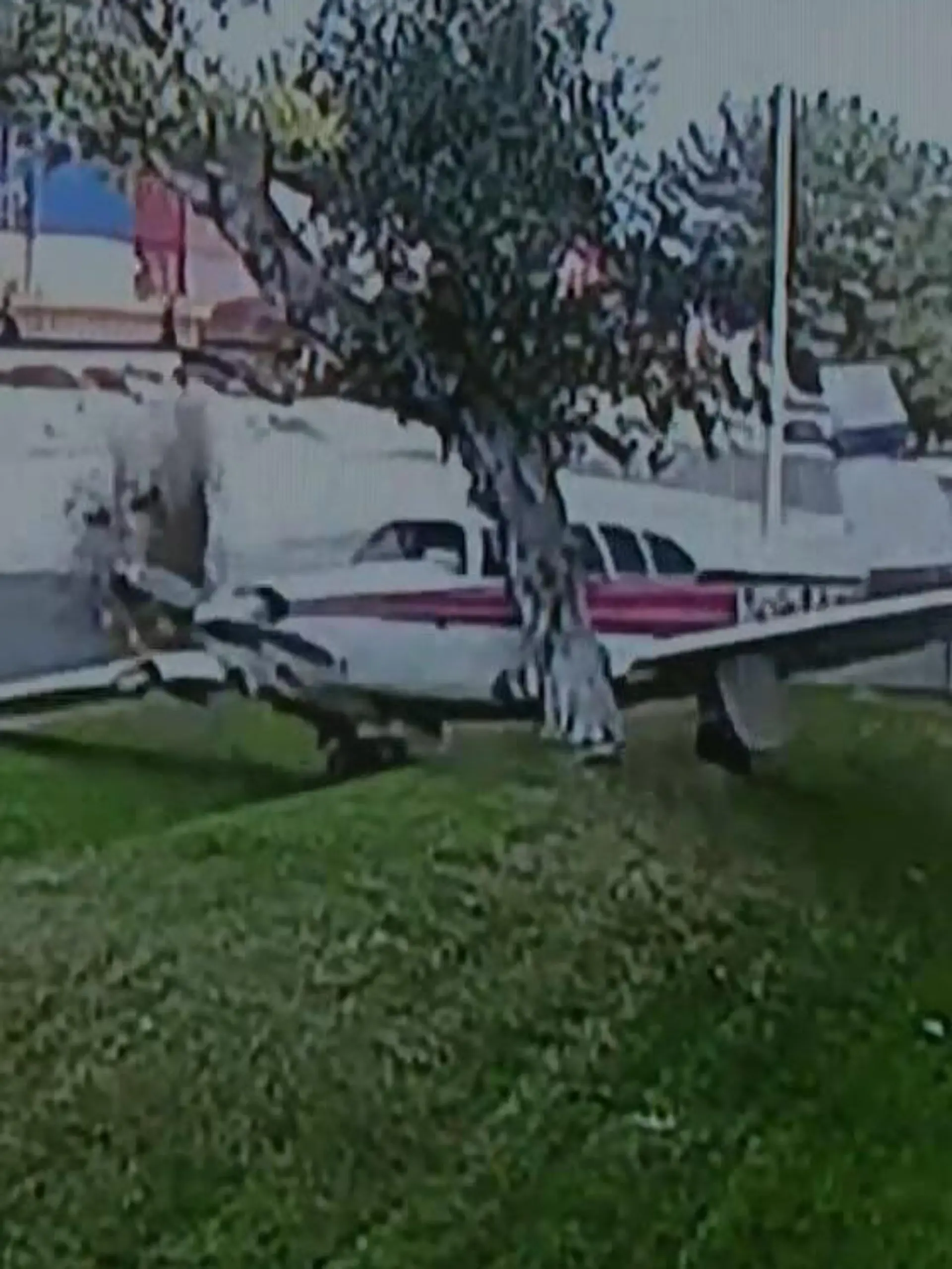 Bild zu: "Notlandung mitten im Wohngebiet! Flieger kracht in Baum"