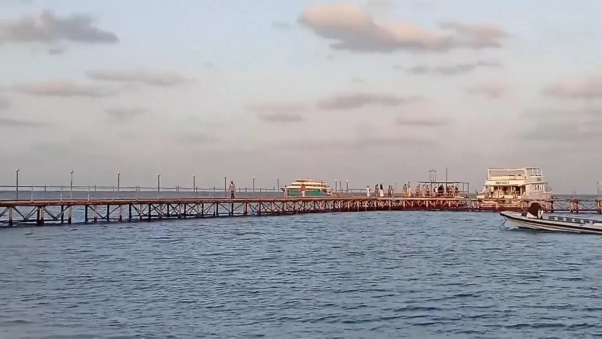 Das Unternehmen, das Sea Story betreibt, gerät unter Druck. Der Tauchausflug wird zur Katastrophe