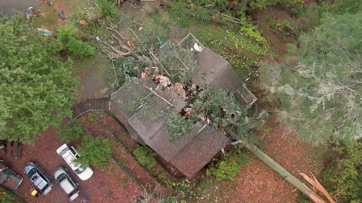 Ein Sturm entwurzelt einen Baum und spaltet das Haus der McKelvies.