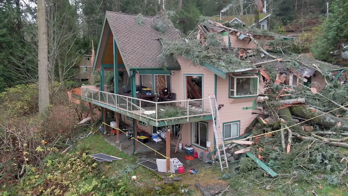 Ein gigantischer Baum fällt und teilt das Haus der Familie McKelvie in Kingston, Washinton.