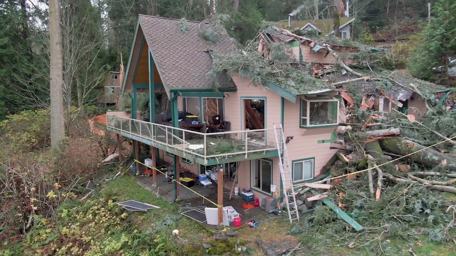 Ein gigantischer Baum fällt und teilt das Haus der Familie McKelvie in Kingston, Washinton.