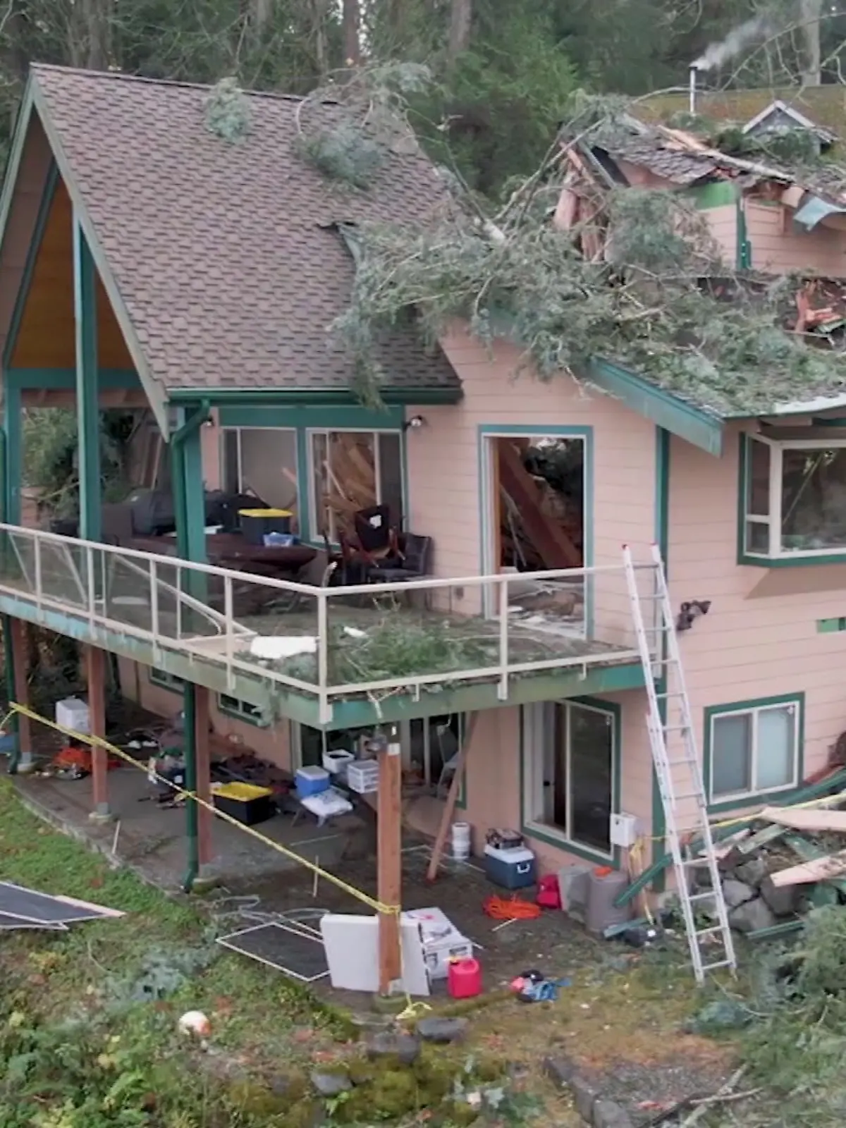 Ein gigantischer Baum fällt und teilt das Haus der Familie McKelvie in Kingston, Washinton.