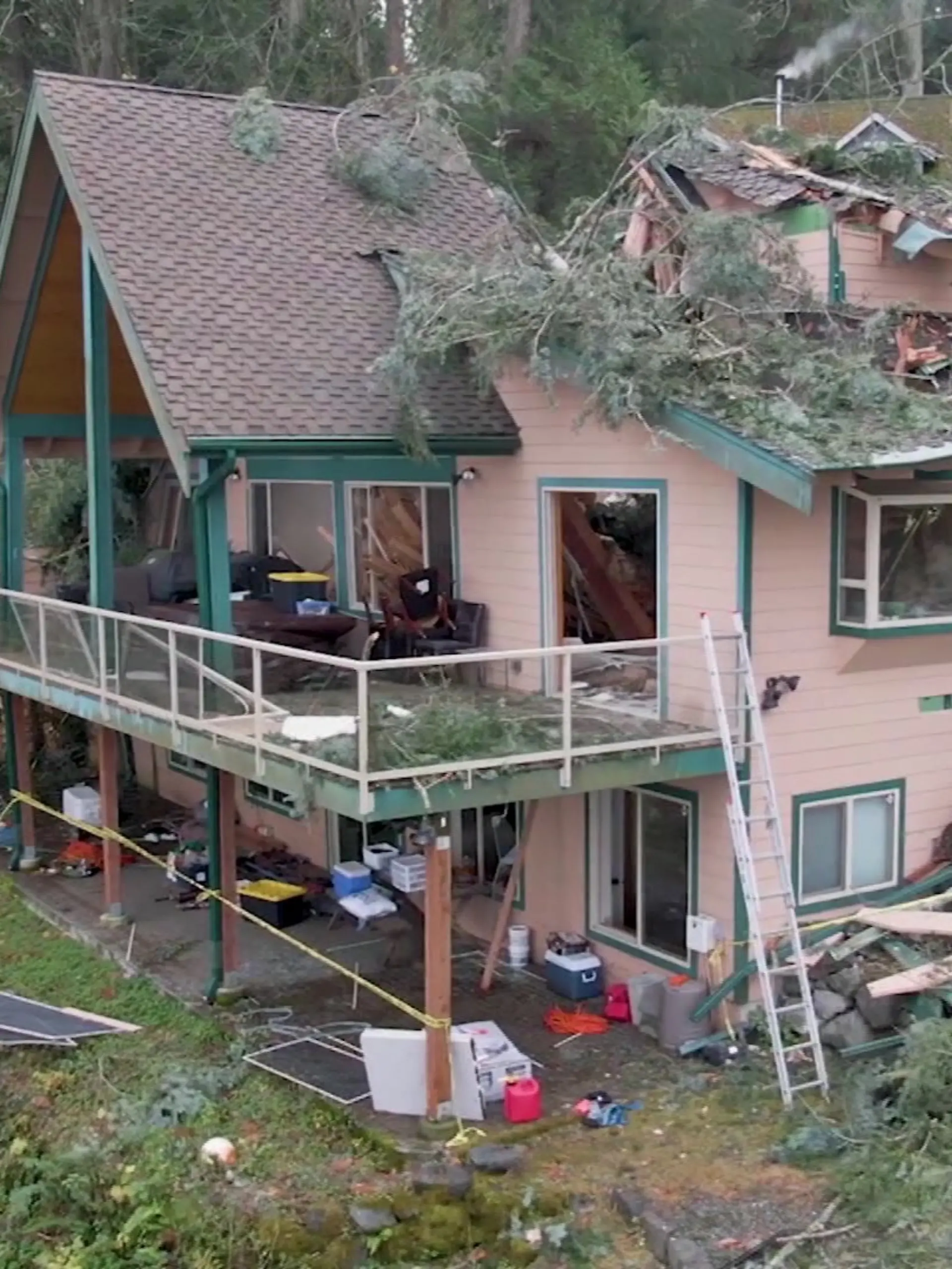 Ein gigantischer Baum fällt und teilt das Haus der Familie McKelvie in Kingston, Washinton.
