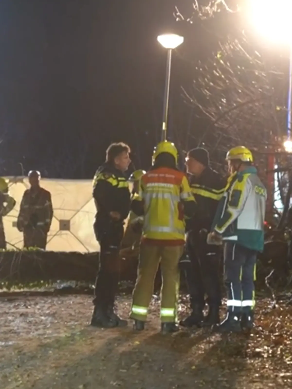 Ein umgestürzter Baum und Rettungskräfte.