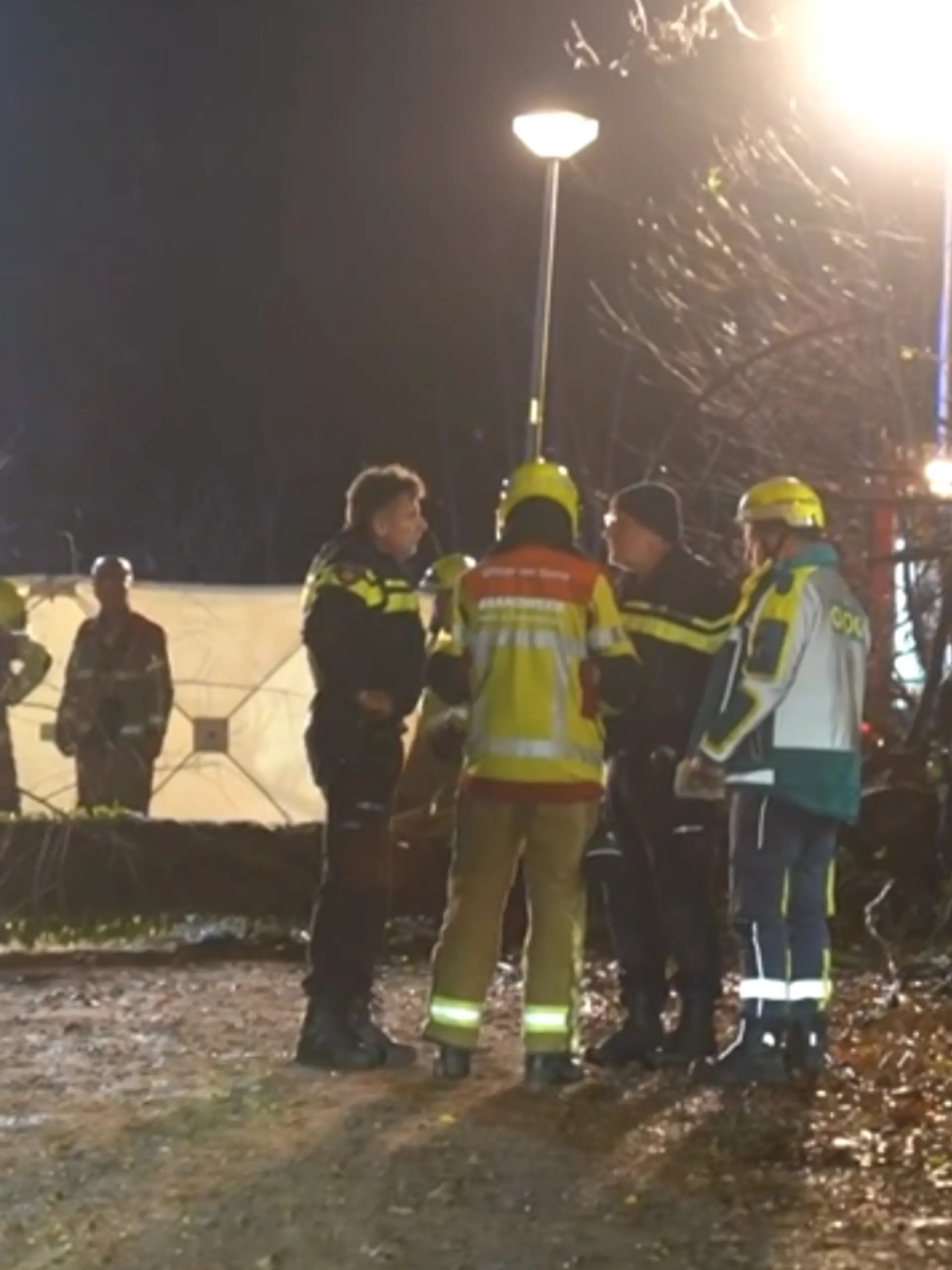 Ein umgestürzter Baum und Rettungskräfte.