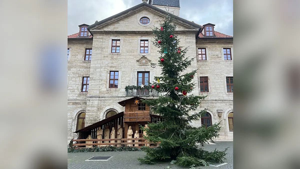 Ein schiefer Tannenbaum vor einem Rathaus.