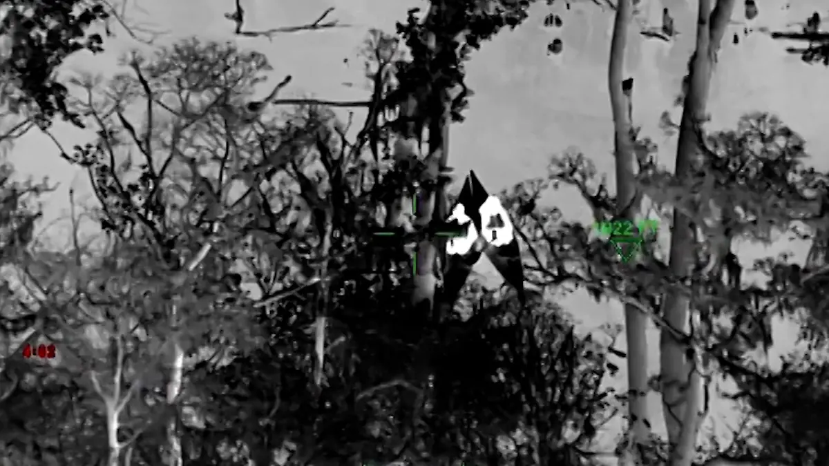 Kajakfahrer verlieren im Dunkeln die Orientierung, gefangen auf dem Fluss!