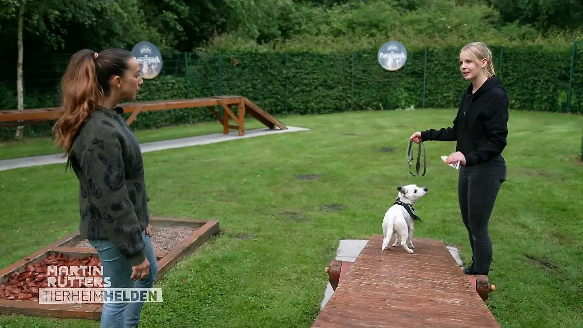 Ellen Marquez trifft auf Jack Russel Olaf Schwer vermittelbarer Rüde
