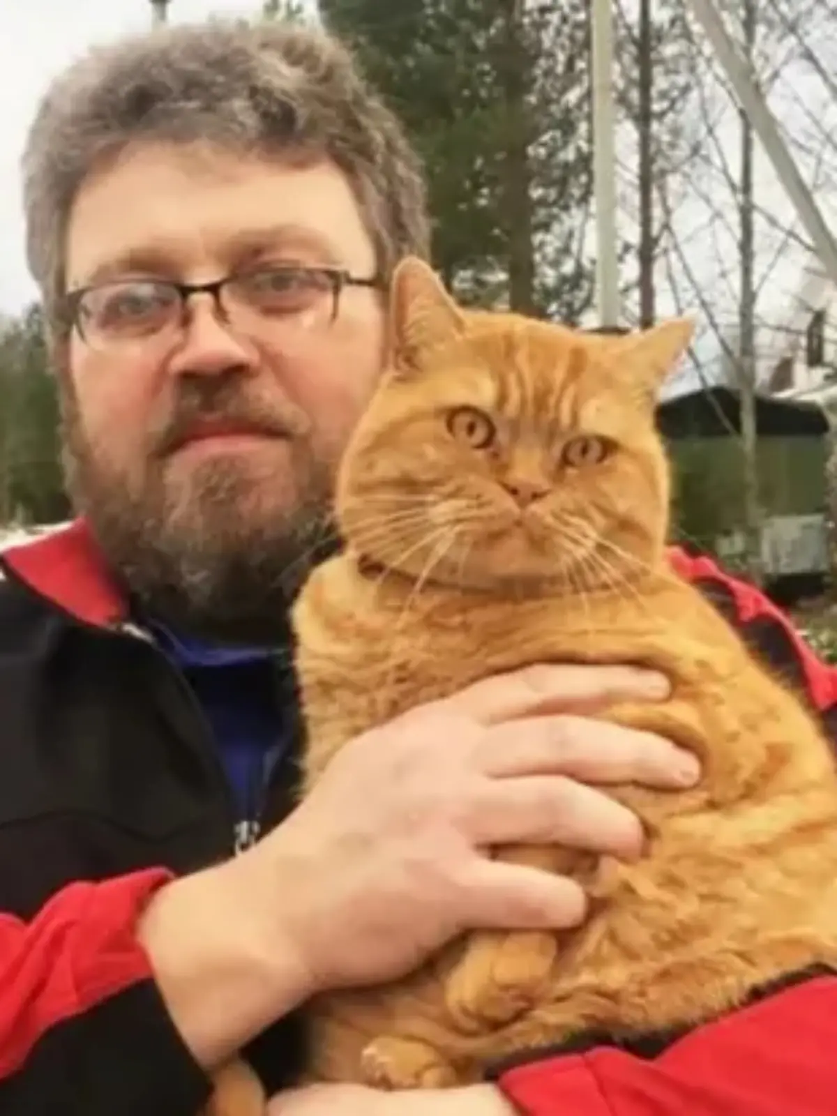 Dmitrys Katze soll eigentlich ein freundliches und harmloses Wesen gehabt haben.