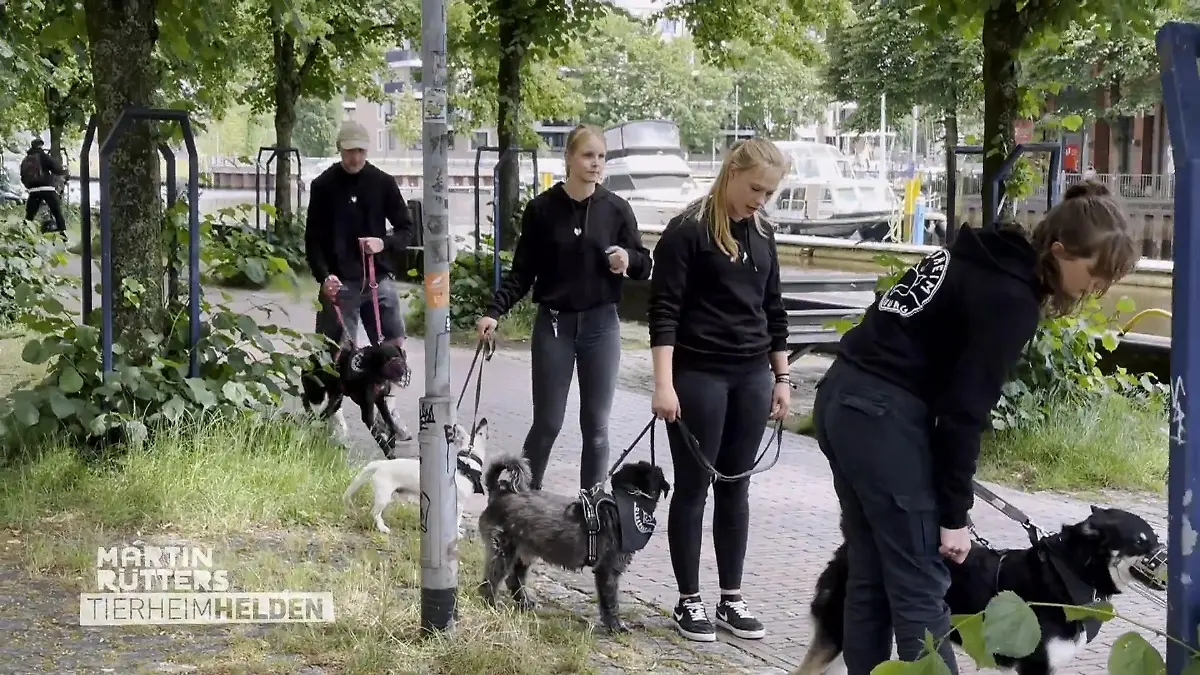 Tierheimmitarbeiter samt Hunden auf Tour Spannendes Abenteuer