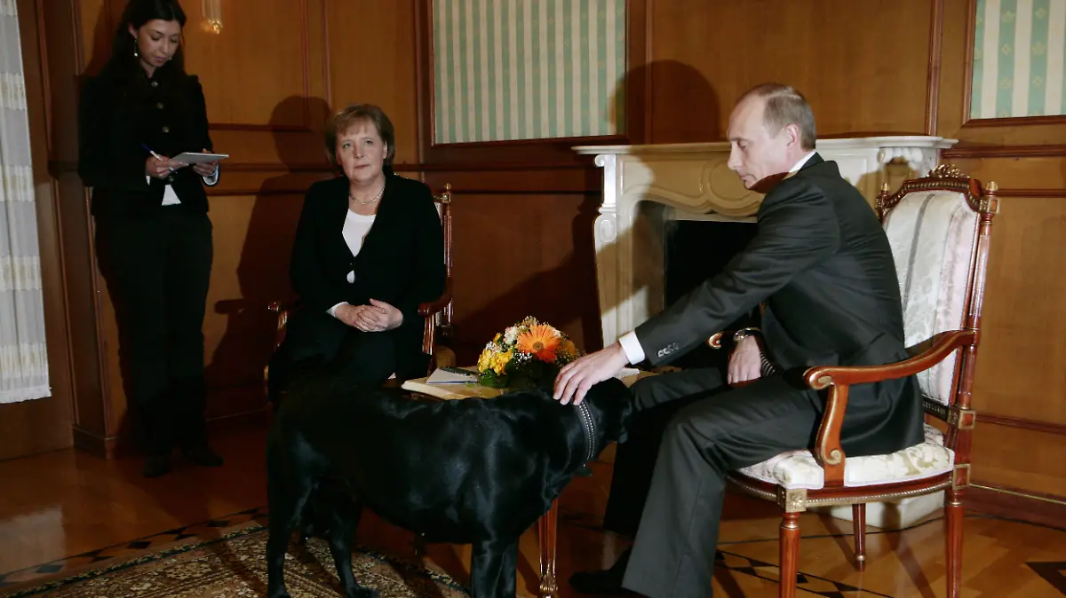 Wladimir Putin genießt den Besuch seines Hundes etwas mehr als Angela Merkel