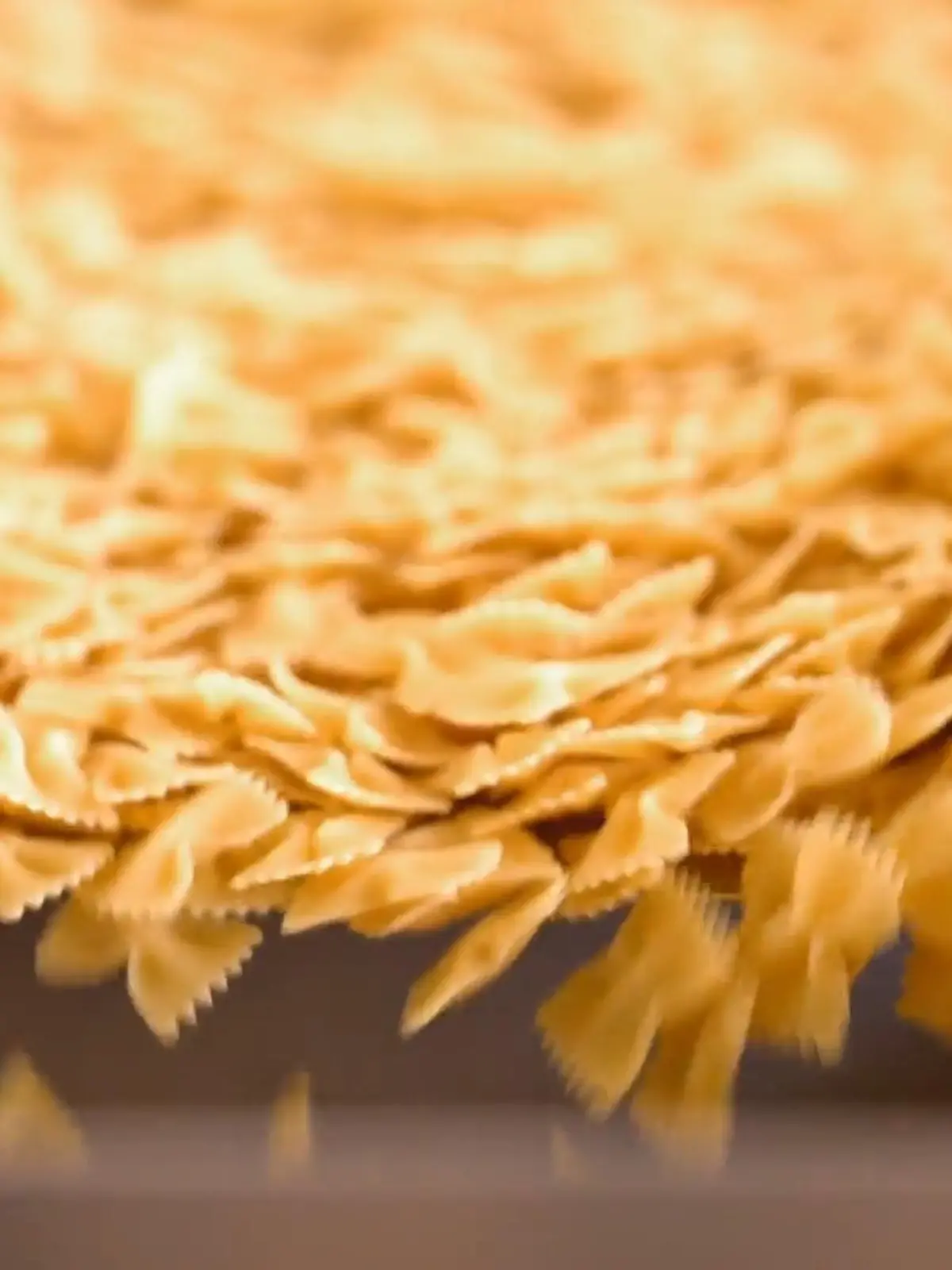 Bild zu: "Lege reist in eine Nudelfabrik"