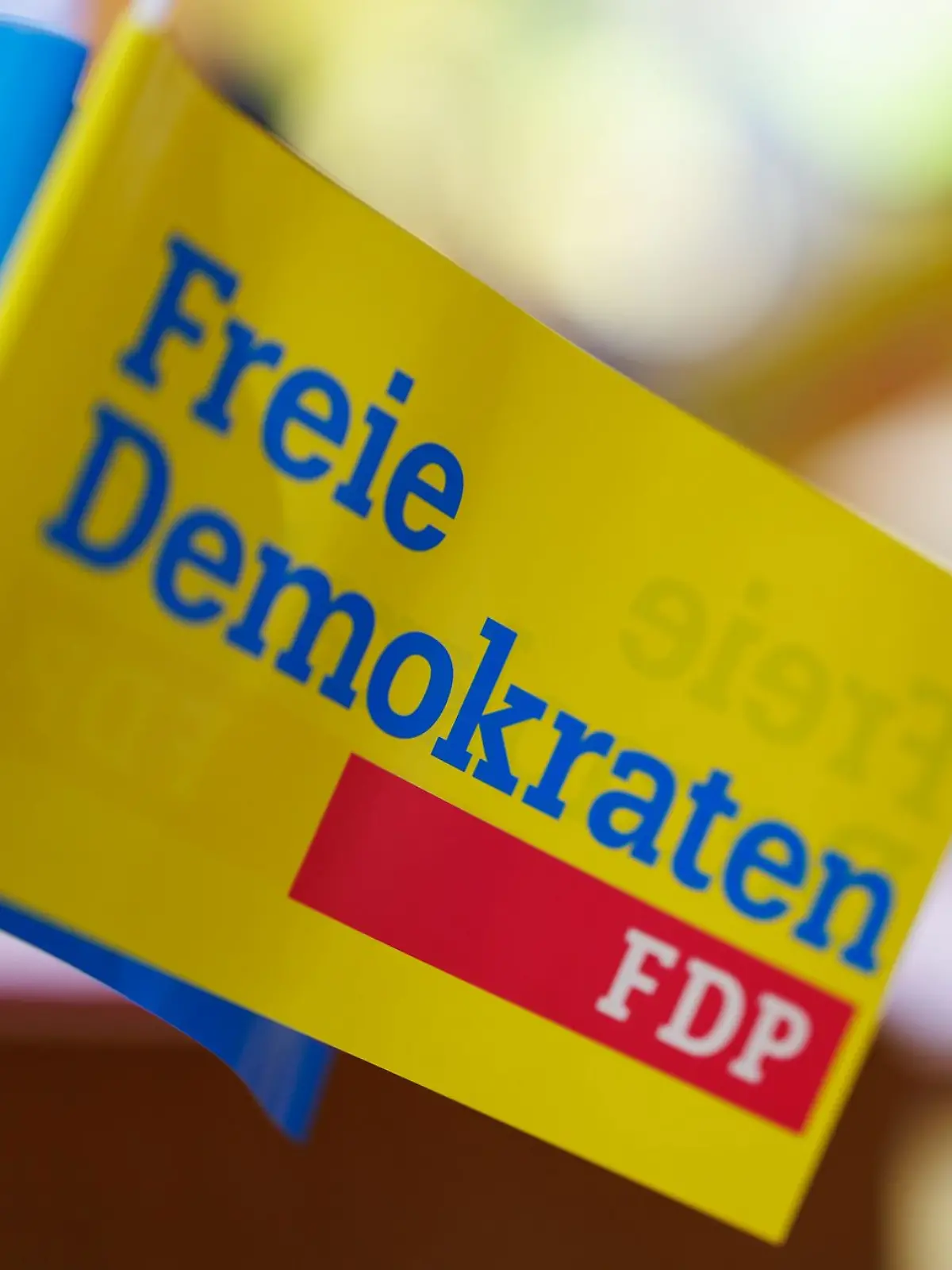 Bild zu: "FDP-Wahlprogramm - die wichtigsten Punkte der Partei"