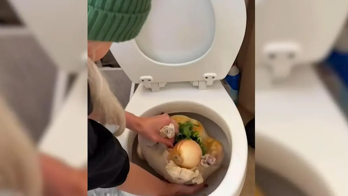 Influencer bereitet Truthahn in der Toilette mit Toilettensteingeschmack zu?!