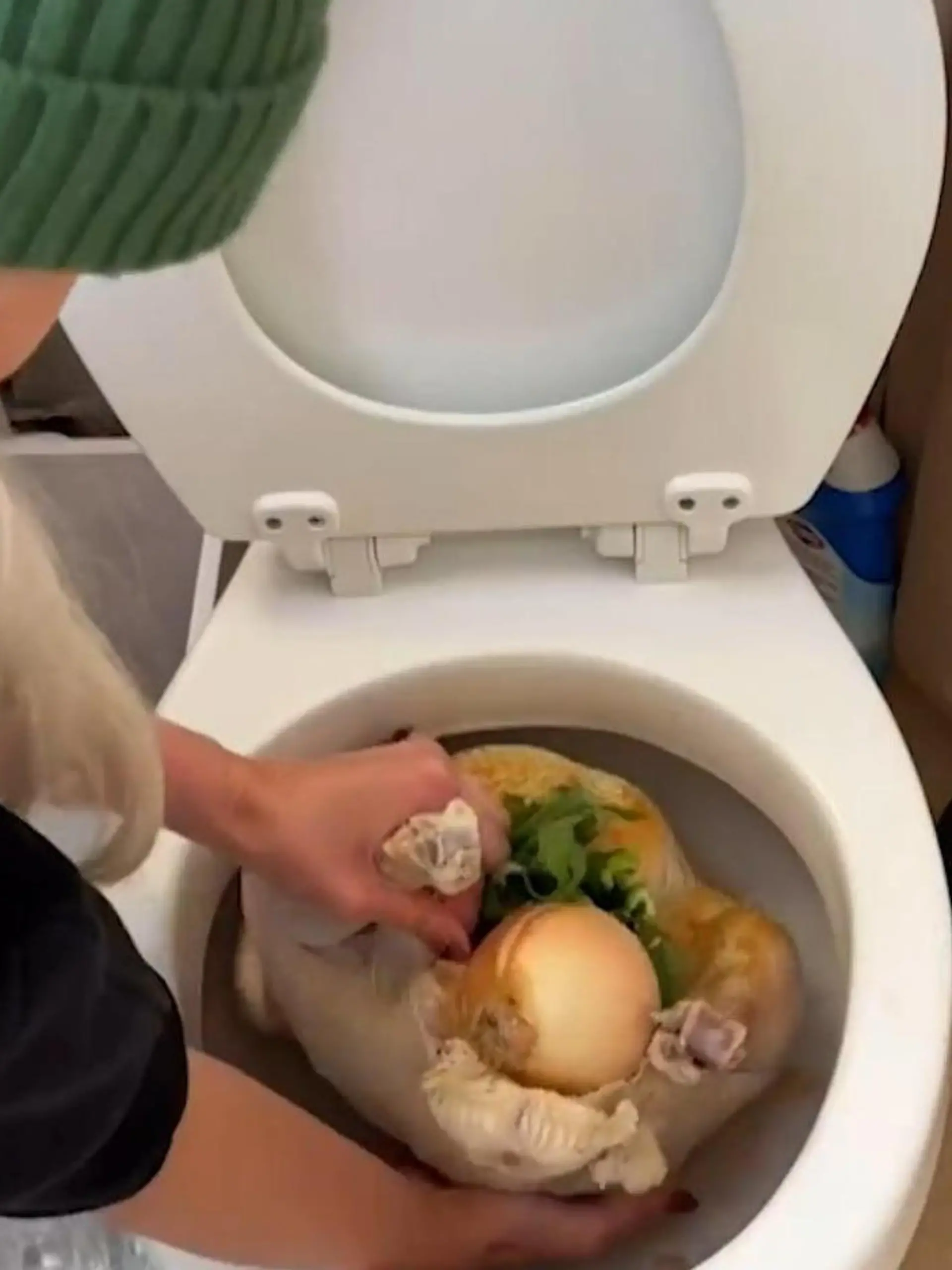 Bild zu: "Influencerin bereitet Truthahn in Toilette zu – Giftnotrufzentrale warnt!"