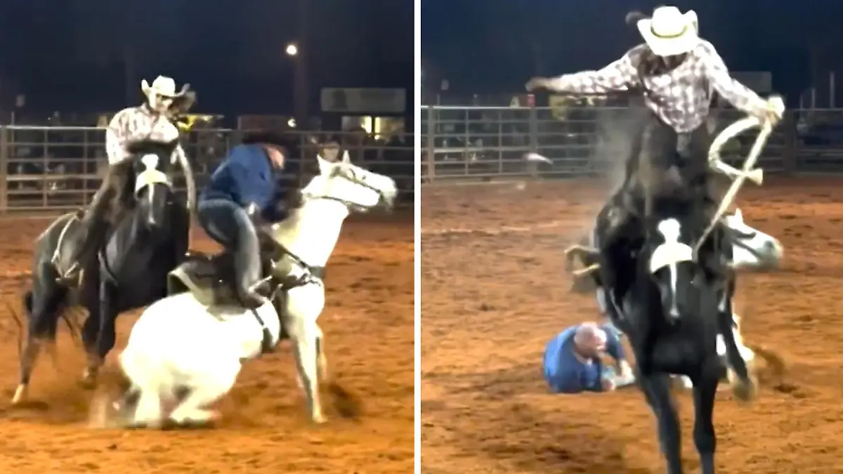 Chaos beim Rodeo! Pferde prallen aufeinander. Hier bleibt niemand im Sattel