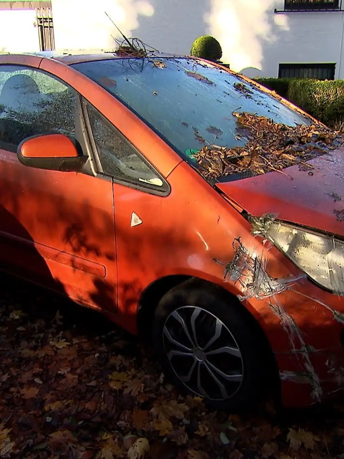 Bild zu: "Ärger um parkendes Auto"