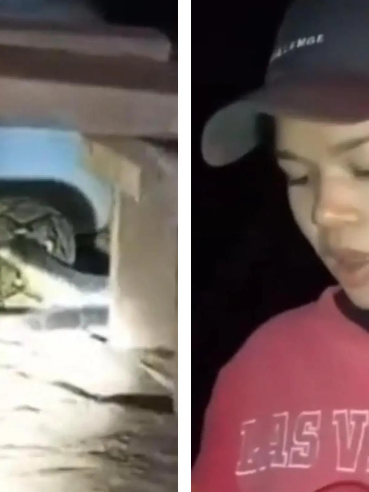 Bild zu: "Kampf um Leben und Tod! Monsterschlangen total verschlungen"
