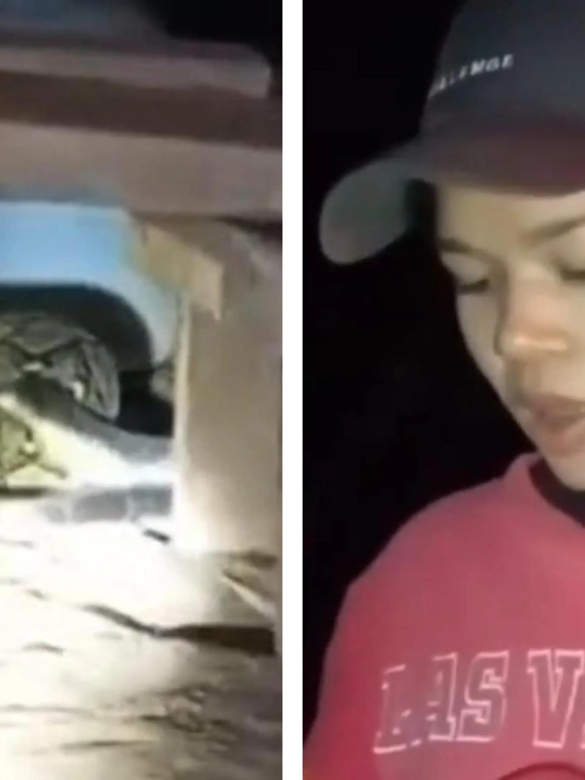 Bild zu: "Kampf um Leben und Tod! Monsterschlangen total verschlungen"