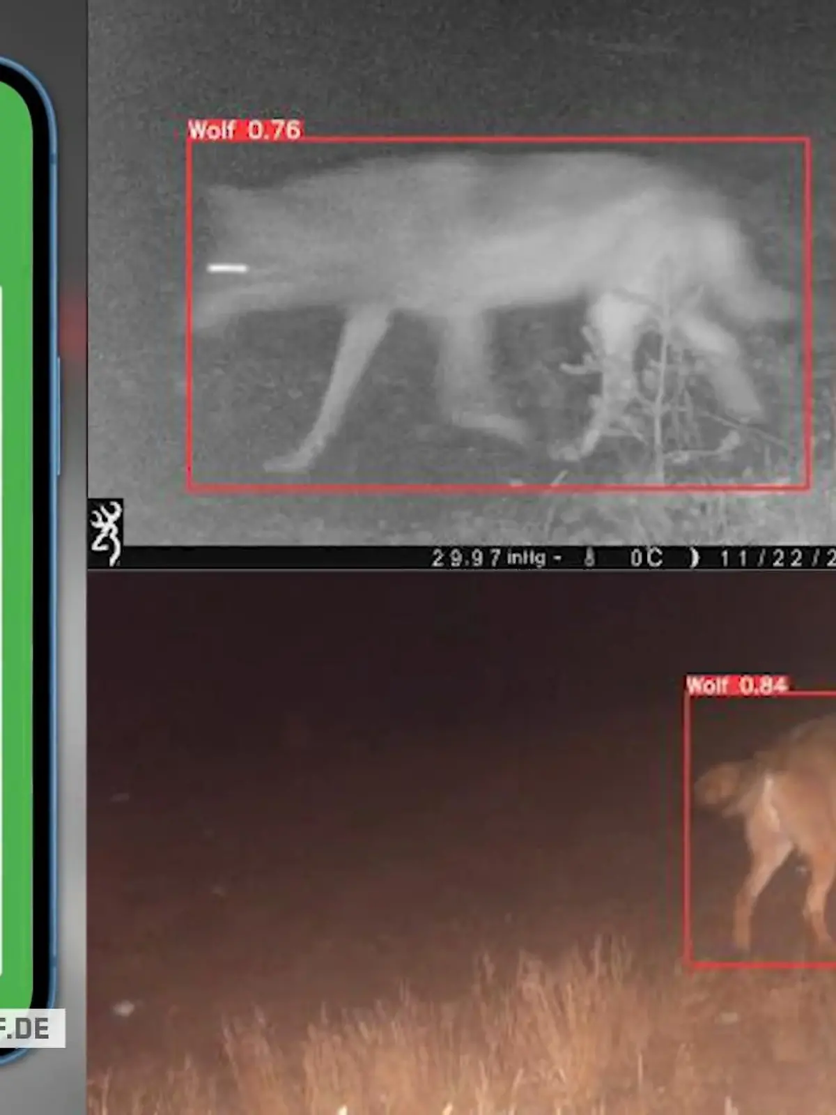 Bild zu: "Warnung vor Wolf"