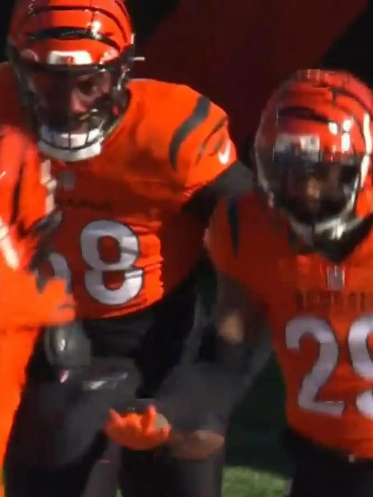 Bild zu: "Erster Touchdown für die Bengals!"