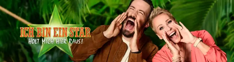 IBES Banner Mobile
