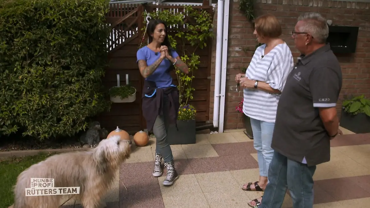 Ivy möchte Action ohne Ende Charmant aber überdreht