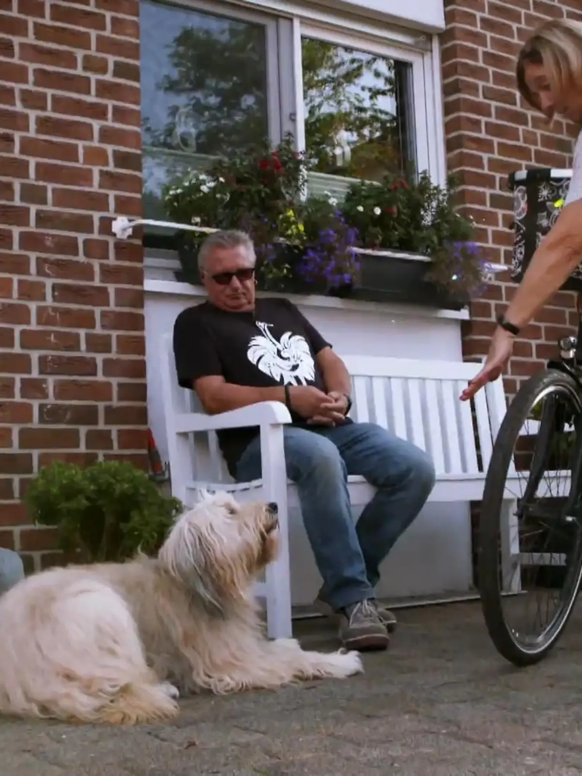 Bild zu: "Ivy ist sonst "Dauerbeschäftigung" gewöhnt"