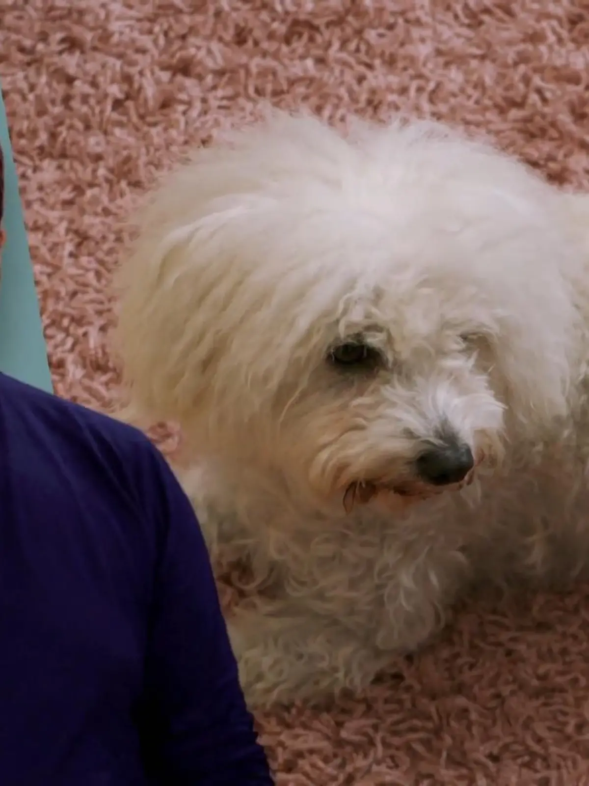 Bild zu: "Spielerisch lernen allein zu sein"