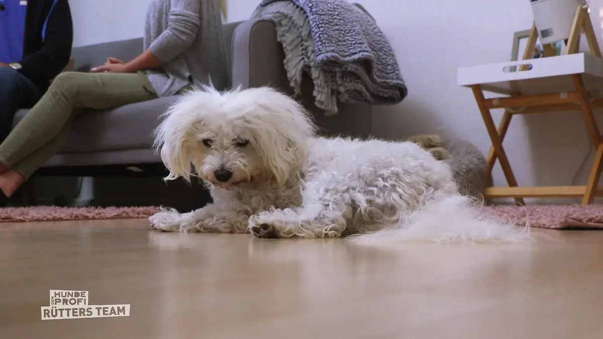 Frida hat die neue Situation akzeptiert Prima Fortschritt