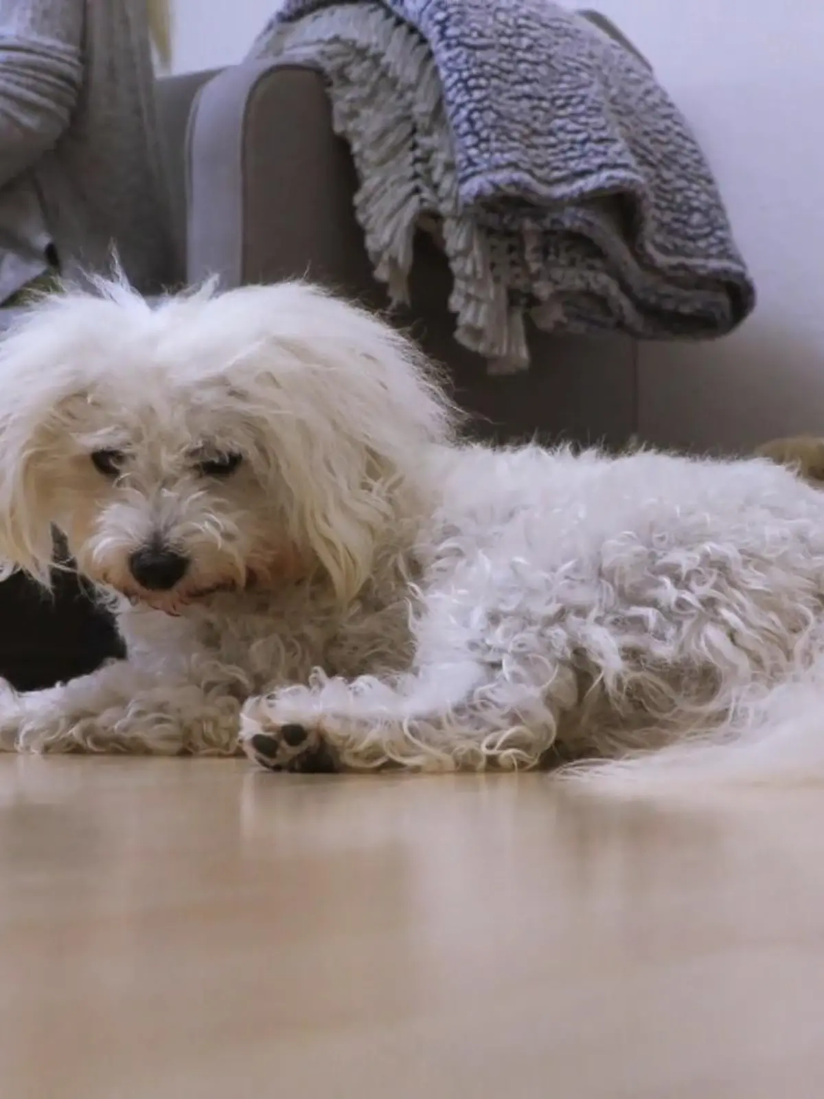 Bild zu: "Frida hat die neue Situation akzeptiert"