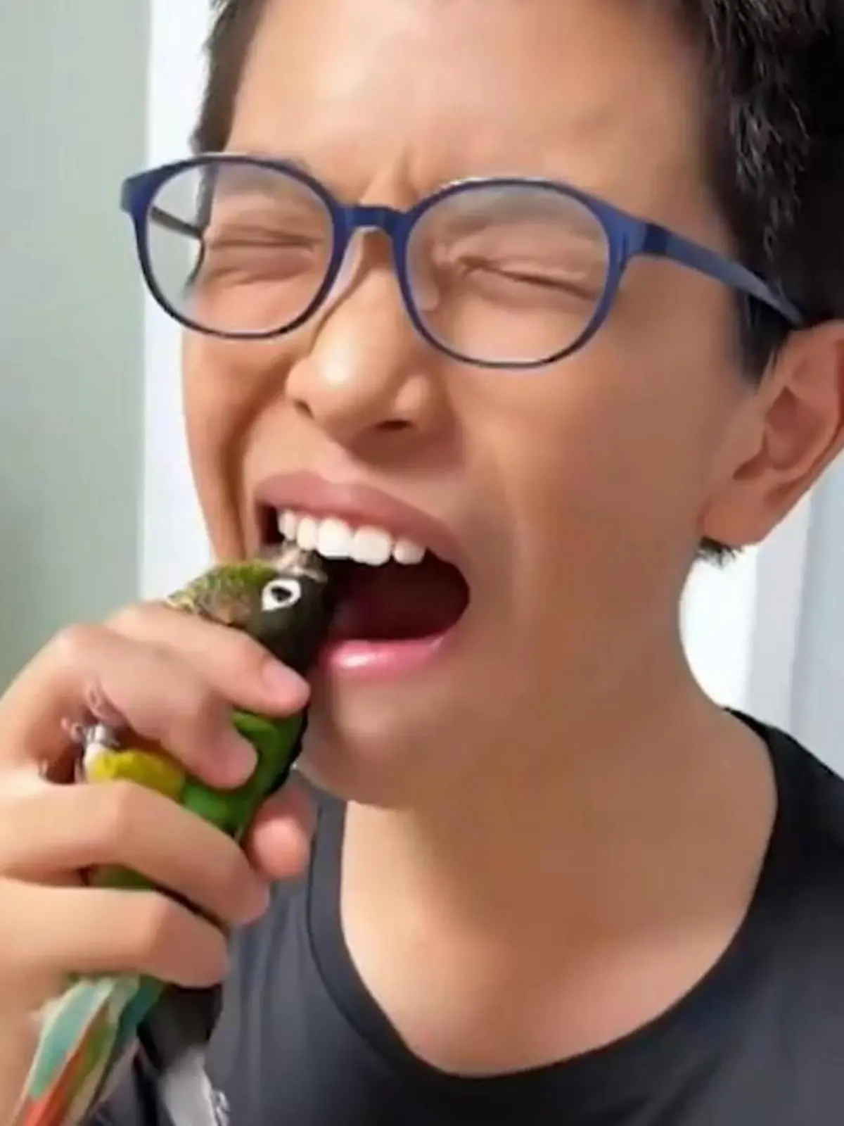 In China hilft der gefiederte Freund einem kleinen Jungen dabei, endlich den letzten Milchzahn loszuwerden. Dafür hält dieser den Vogel extra in seinen Mund – der packt zu und erwischt zum Glück auch den richtigen Beißer. 