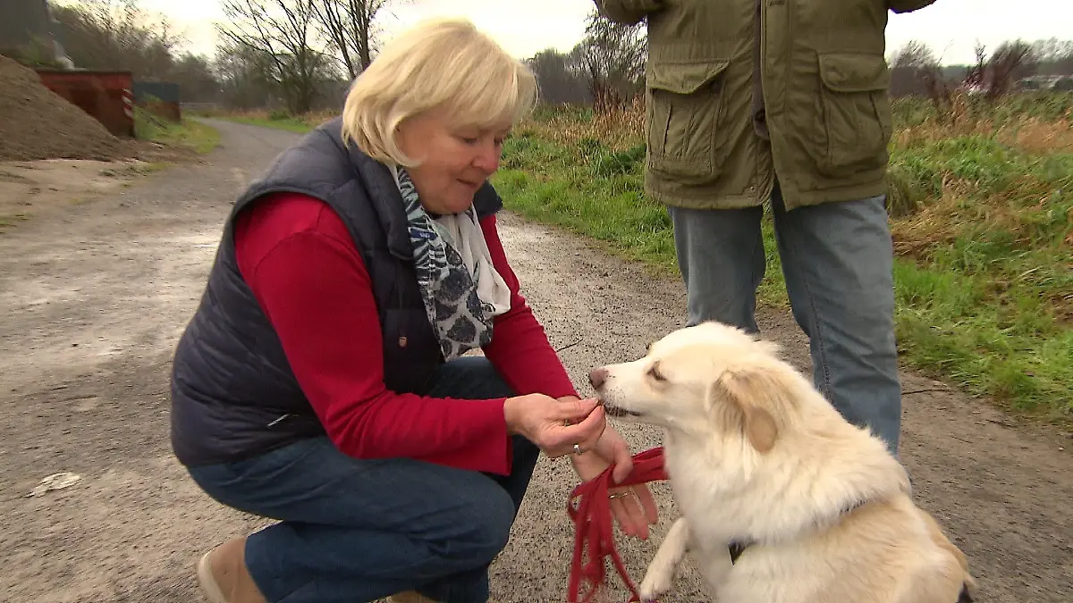Hundehasser Lippstadt