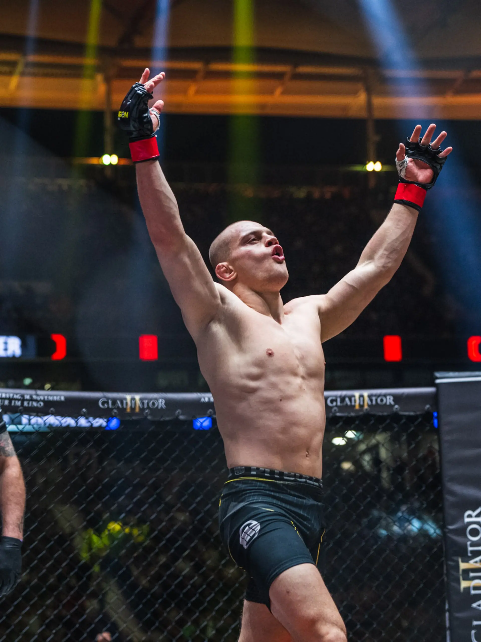 Bild zu: "Max bekommt seine irre MMA-Holzer-Show!"