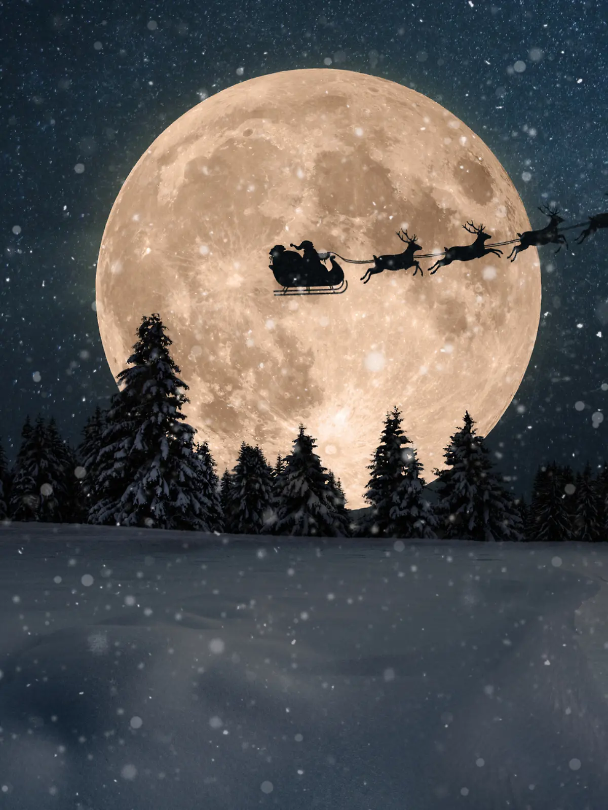 Der Weihnachtsmann und seine Rentiere fliegen am Sternenhimmel. Es ist Vollmond.